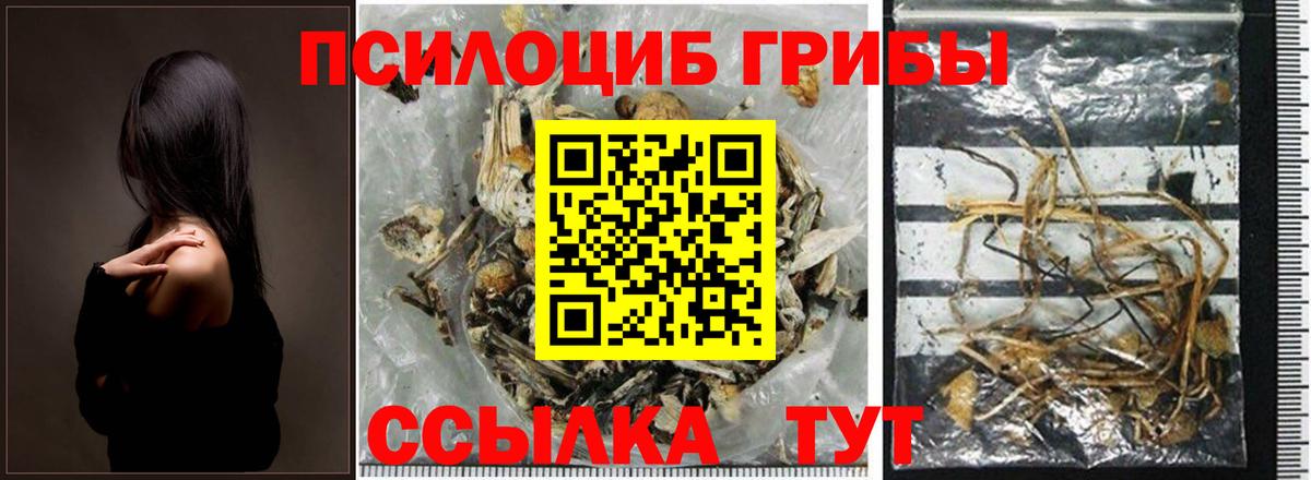 Ковров  Галлюциногенные грибы GOLDEN TEACHER  Вход с VPN 